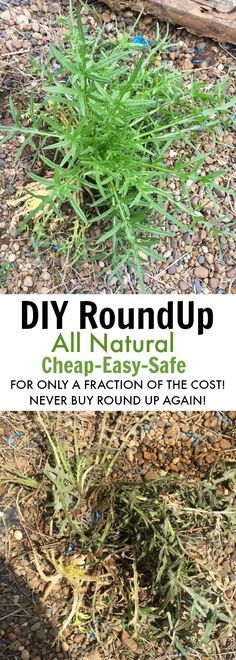 roundup weed killer instructions