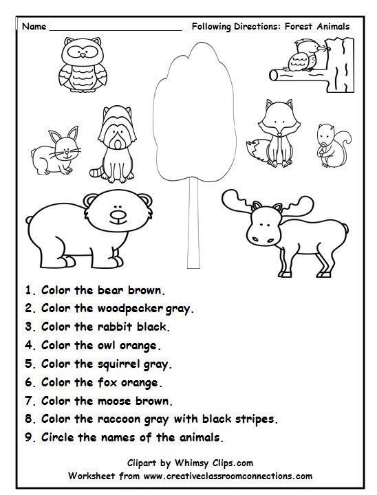 following instructions activities for kids