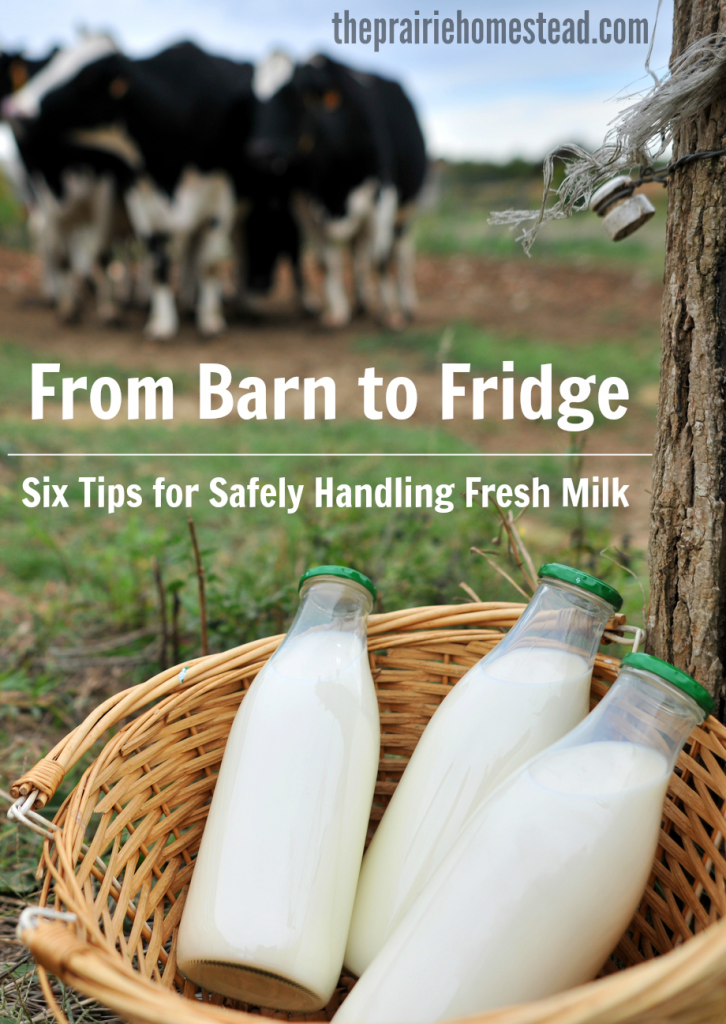 raw milk diet instructions